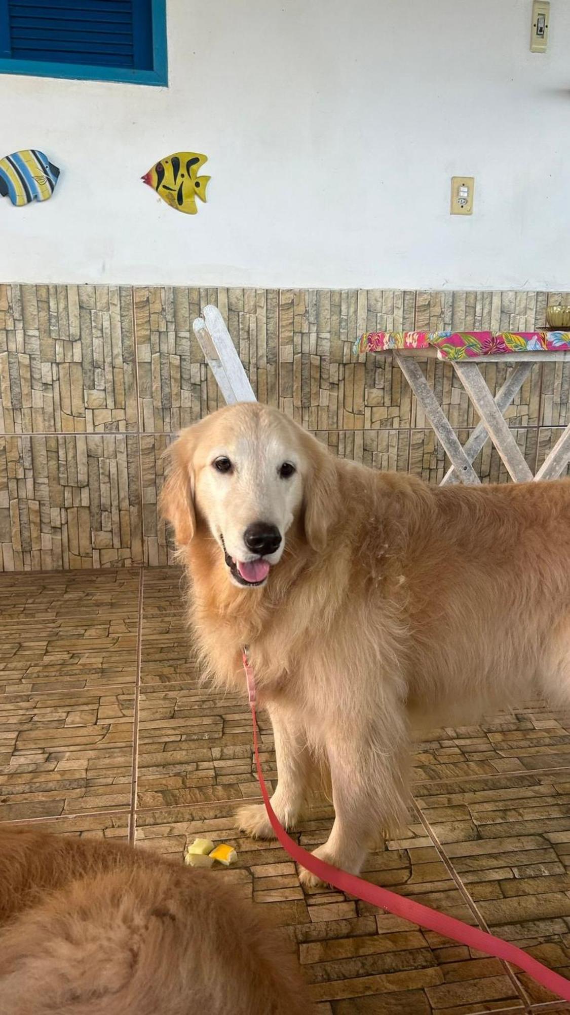 Pousada Cantinho de Ará Praia de Araçatiba Esterno foto
