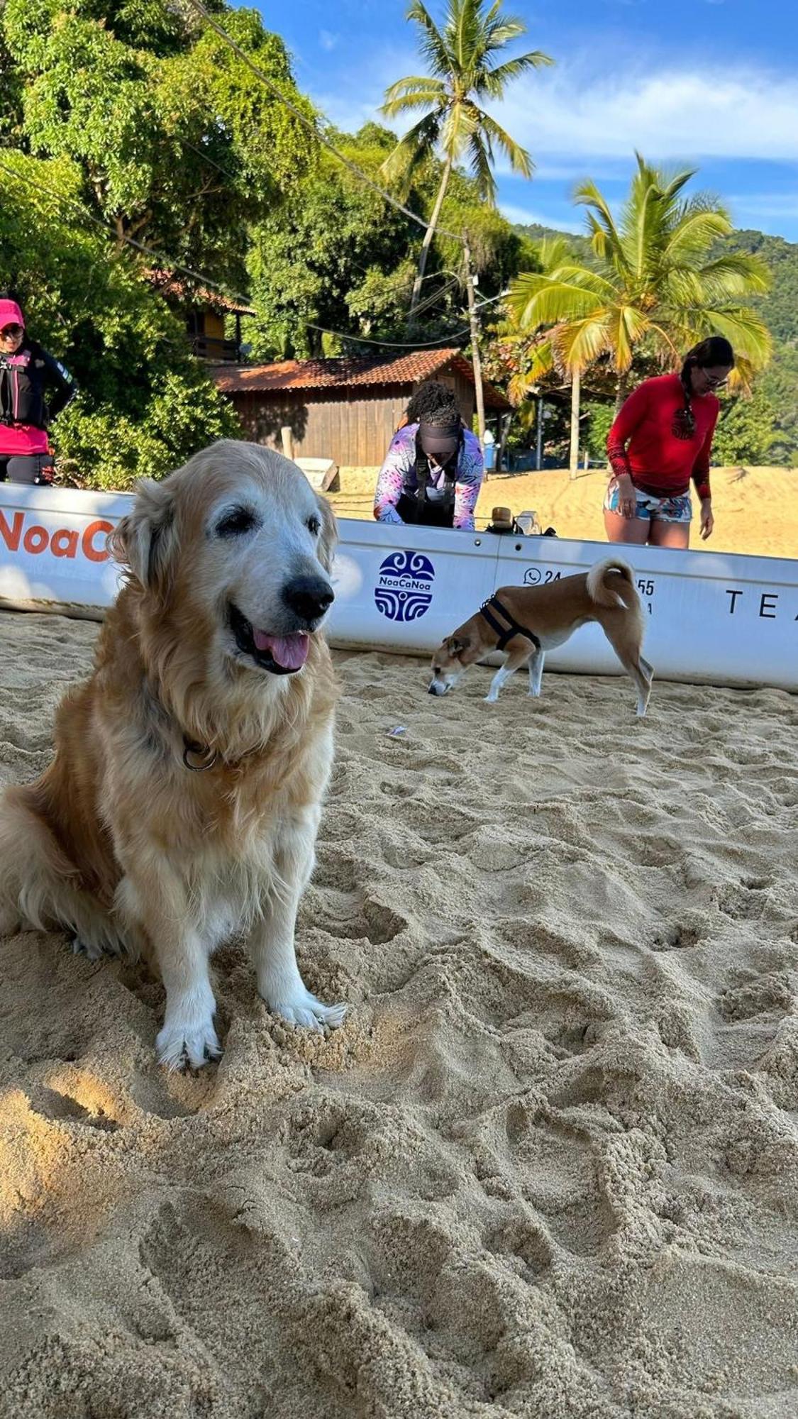 Pousada Cantinho de Ará Praia de Araçatiba Esterno foto